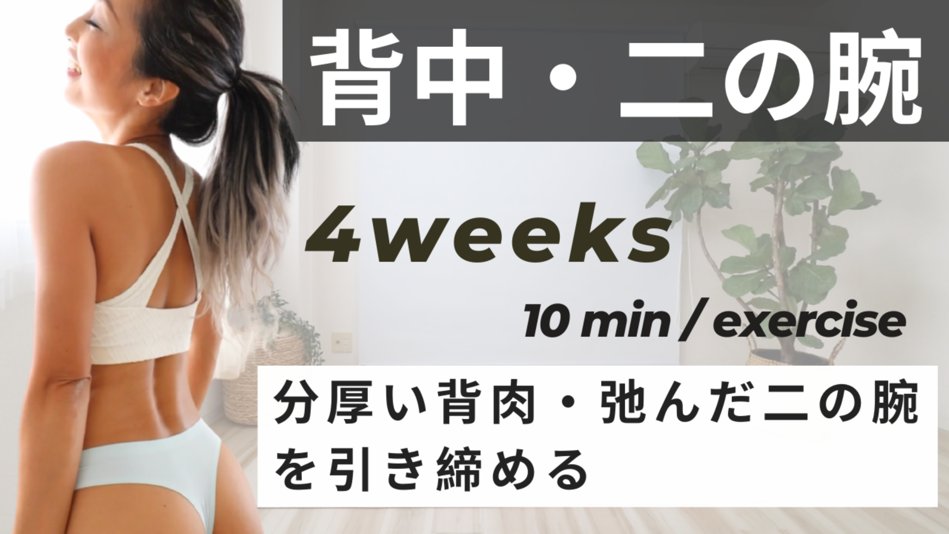 背中・二の腕4週間プログラム