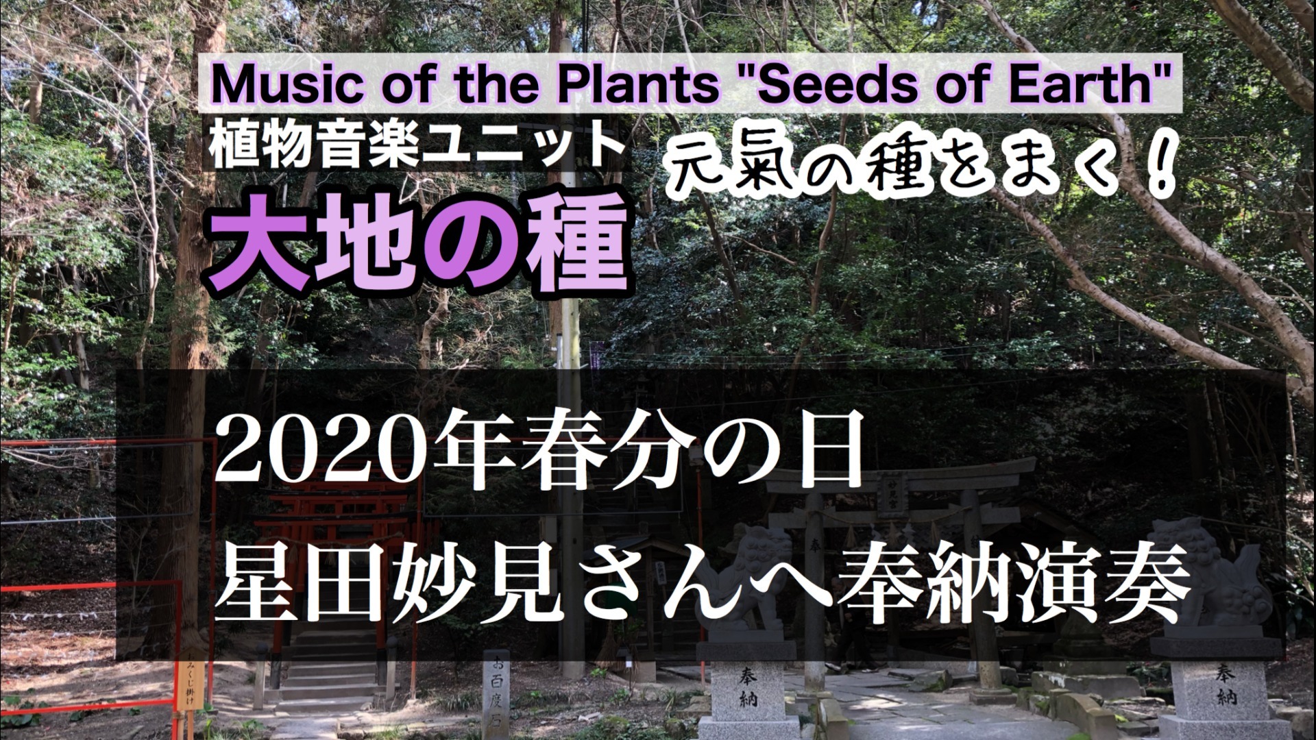 2020年春分の日、星田妙見さんへ奉納演奏|ファンクラブ限定公開