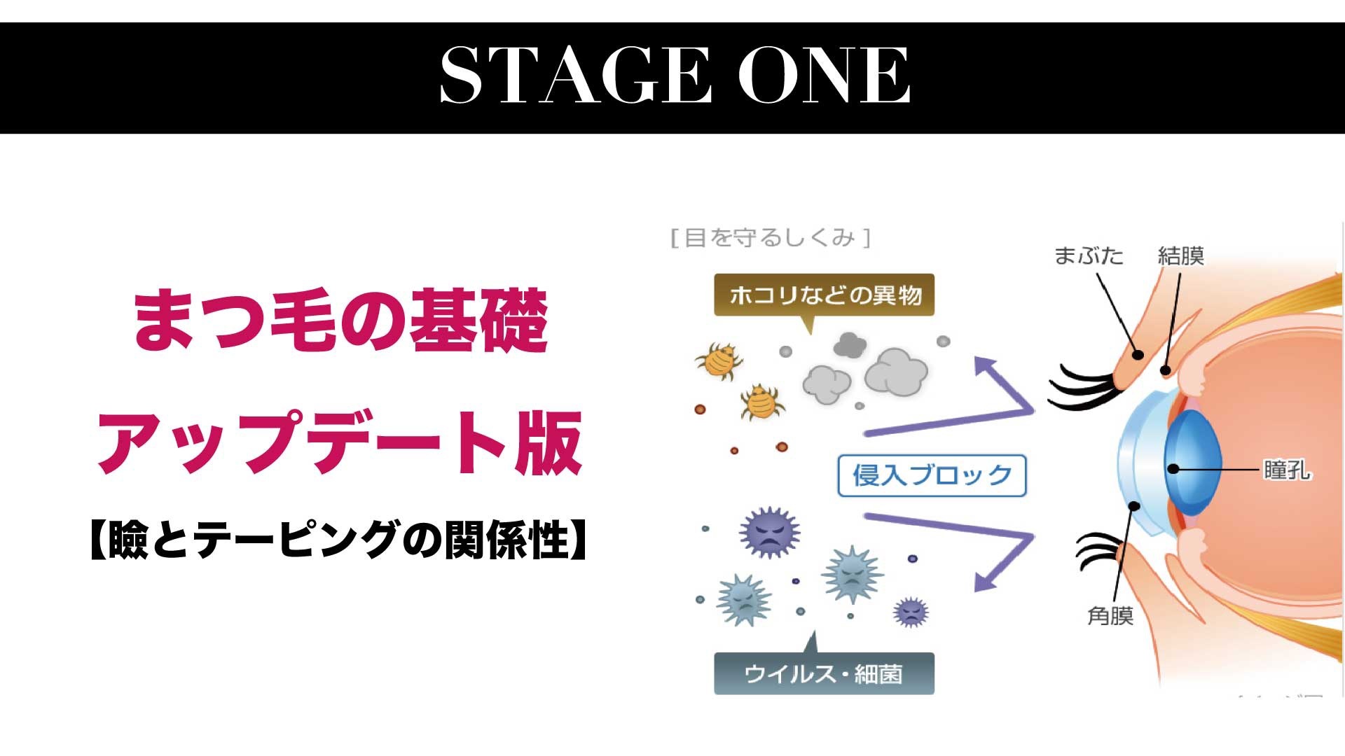 Stage 1まつ毛の基礎アップデート編2020