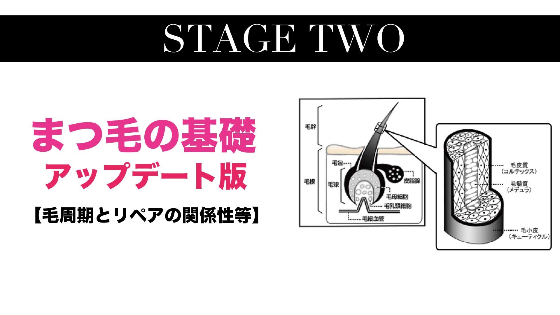 Stage 2まつ毛の基礎アップデート編2020