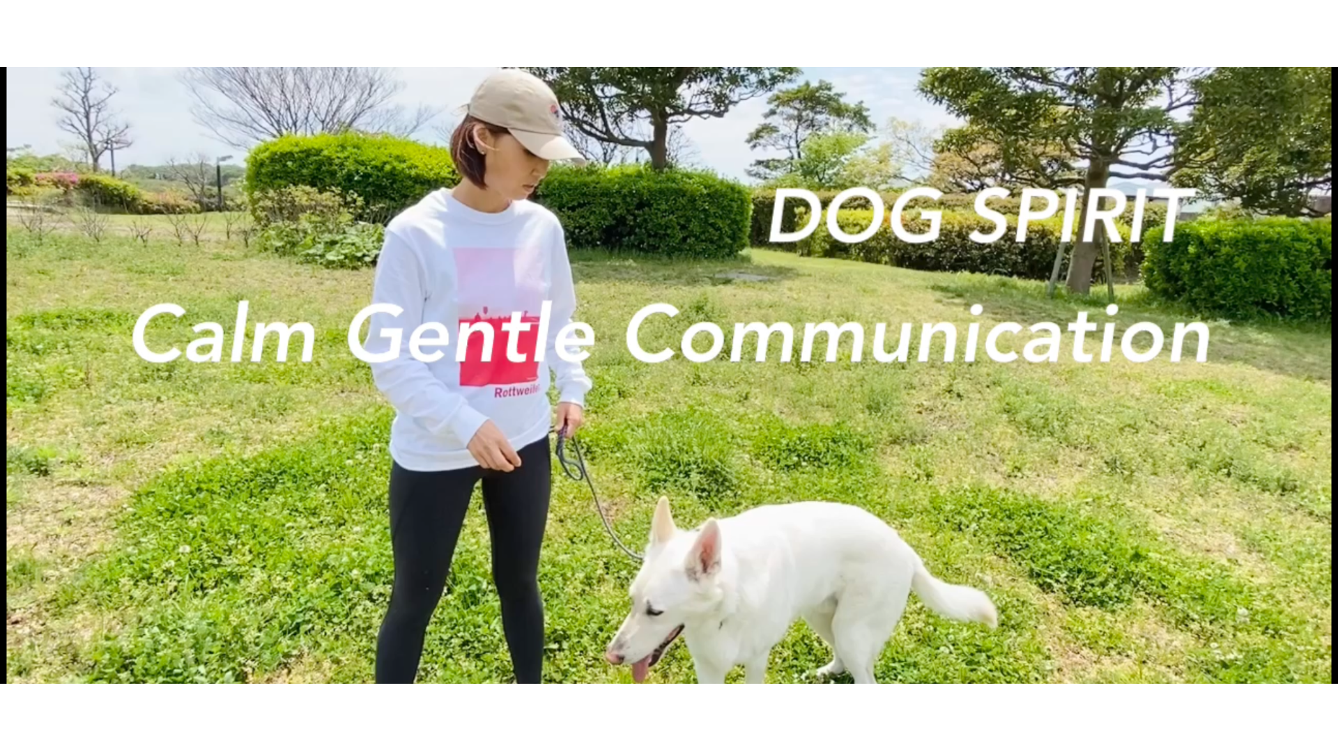 Calm Gentle Communication