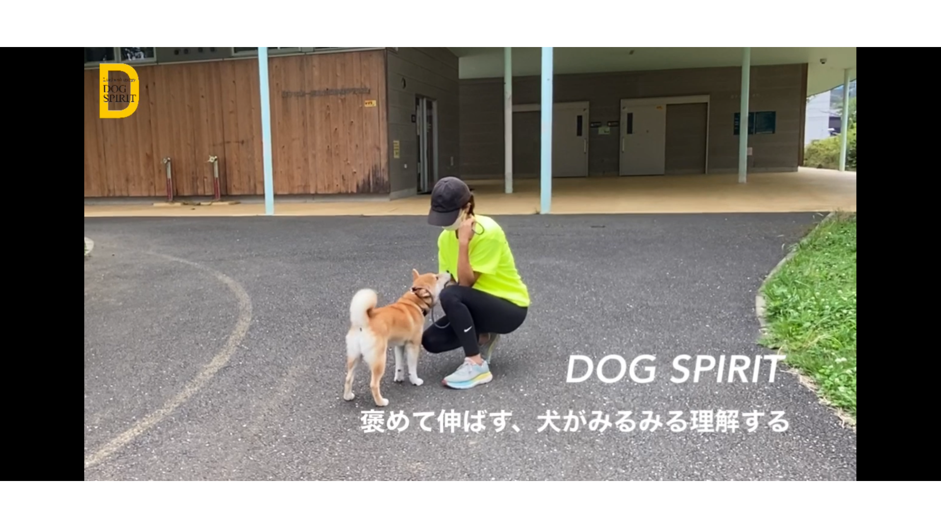 褒めて伸ばす、犬がみるみる理解する