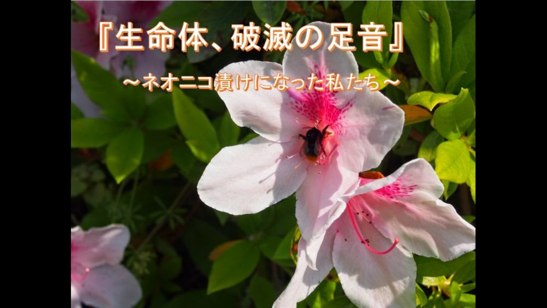 「生命体、破滅の足音」