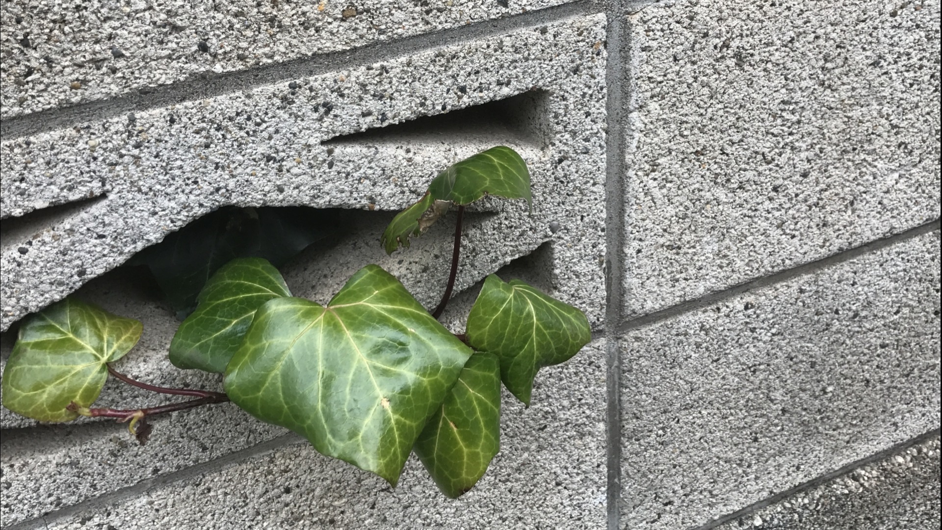 負けないという強さ