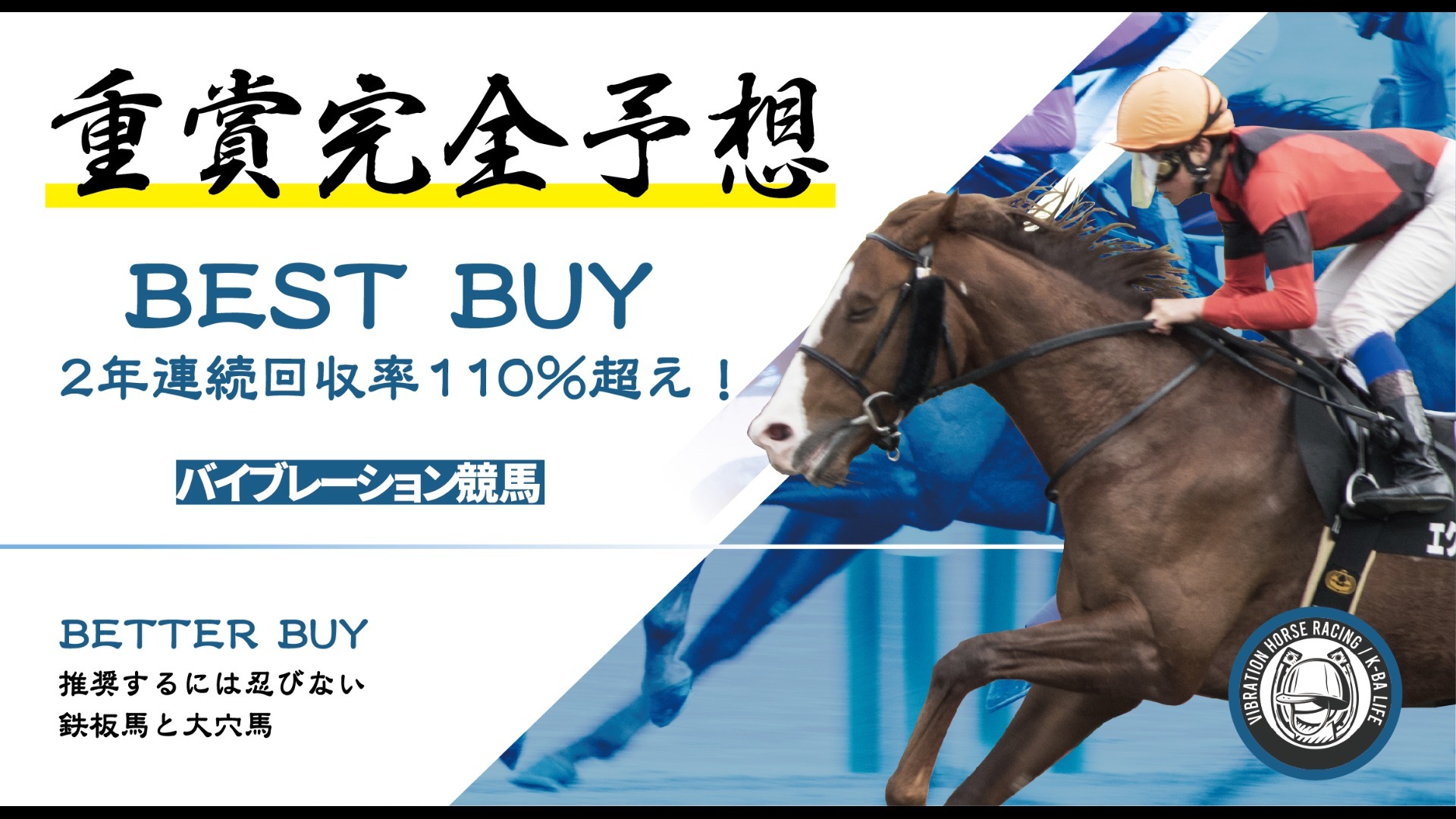 【2/20号】バイブレーション競馬
