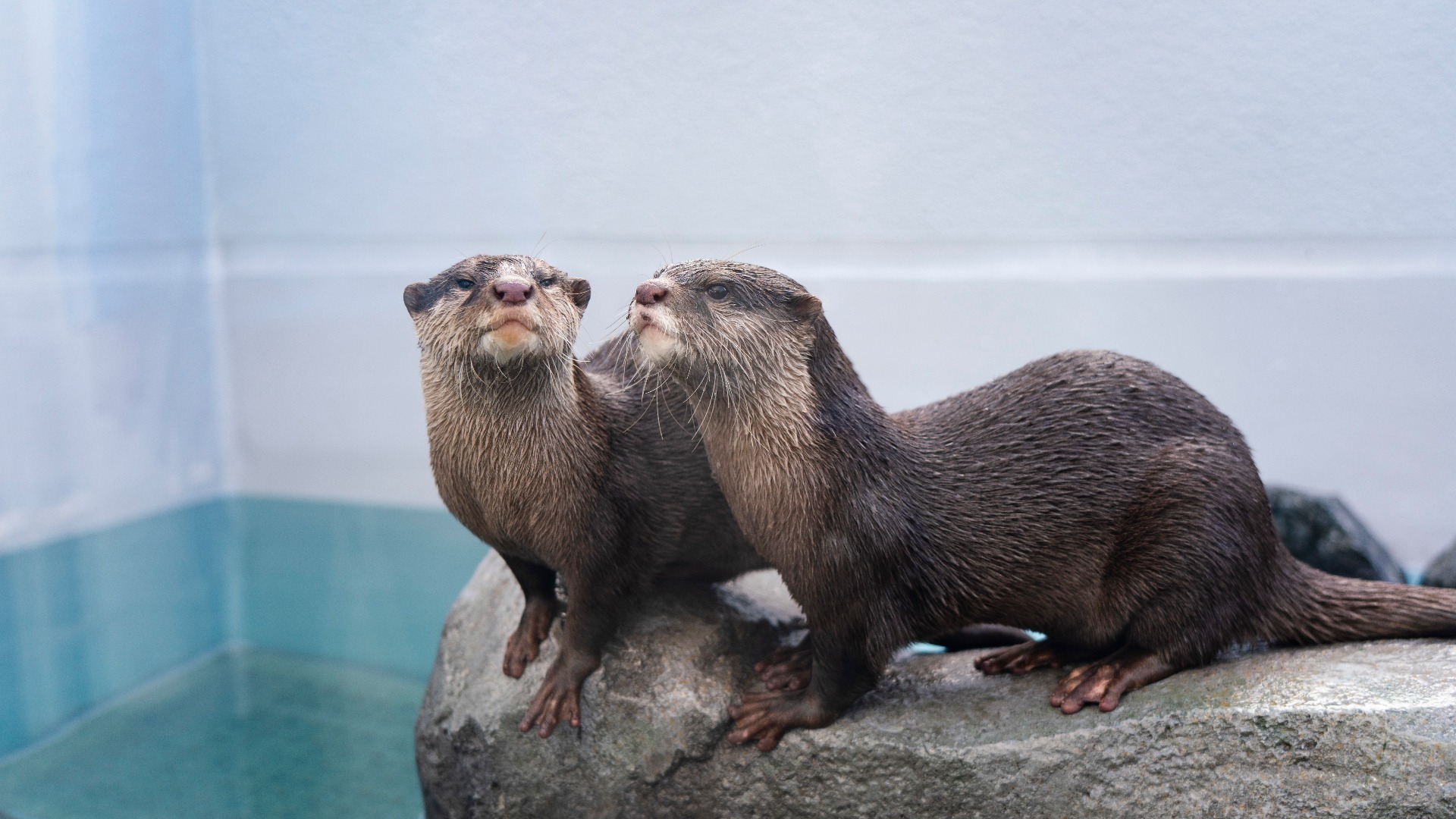 四国水族館
