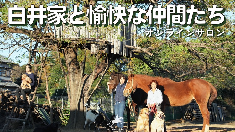 白井家 白井家と愉快な仲間たち Dmm オンラインサロン 白井家 白井家と愉快な仲間たち Dmm オンラインサロン