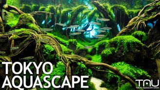 TOKYO AQUASCAPE ＴＡＵ（東京アクアスケープユニオン）